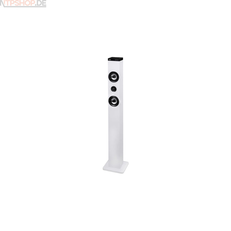 Laden Sie das Bild in Galerie -Viewer, TREVI XT 101 BT Turmlautsprecher B-Ware (R2F5)