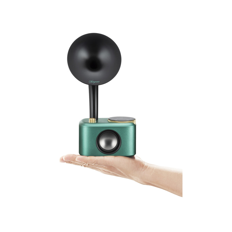 Laden Sie das Bild in Galerie -Viewer, Sangean CP-100D Gramophone Tischradio DAB+ - New-Tech-Products GmbH NTP NTPShop.de www.ntpshop.de www.new-tech-products.de all4living Onlineshop Online Store Gadgets Elektrogeräte